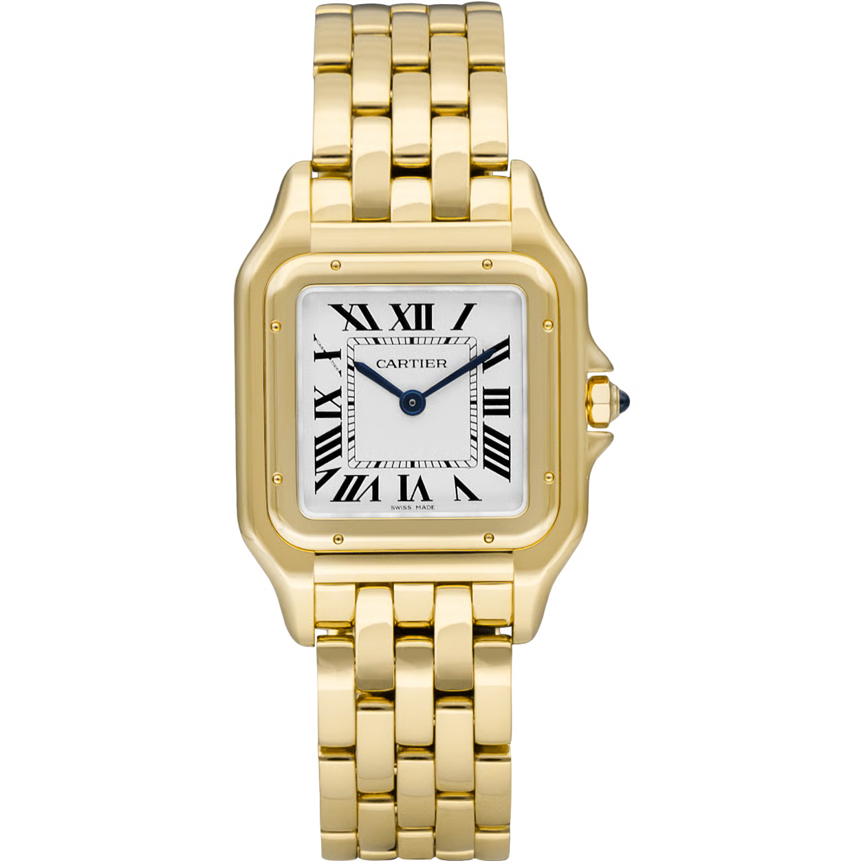 Time Traveler Watches