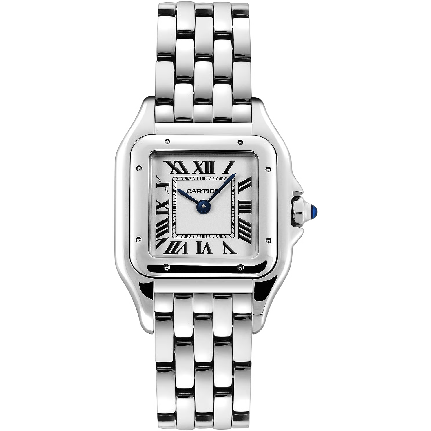 Time Traveler Watches