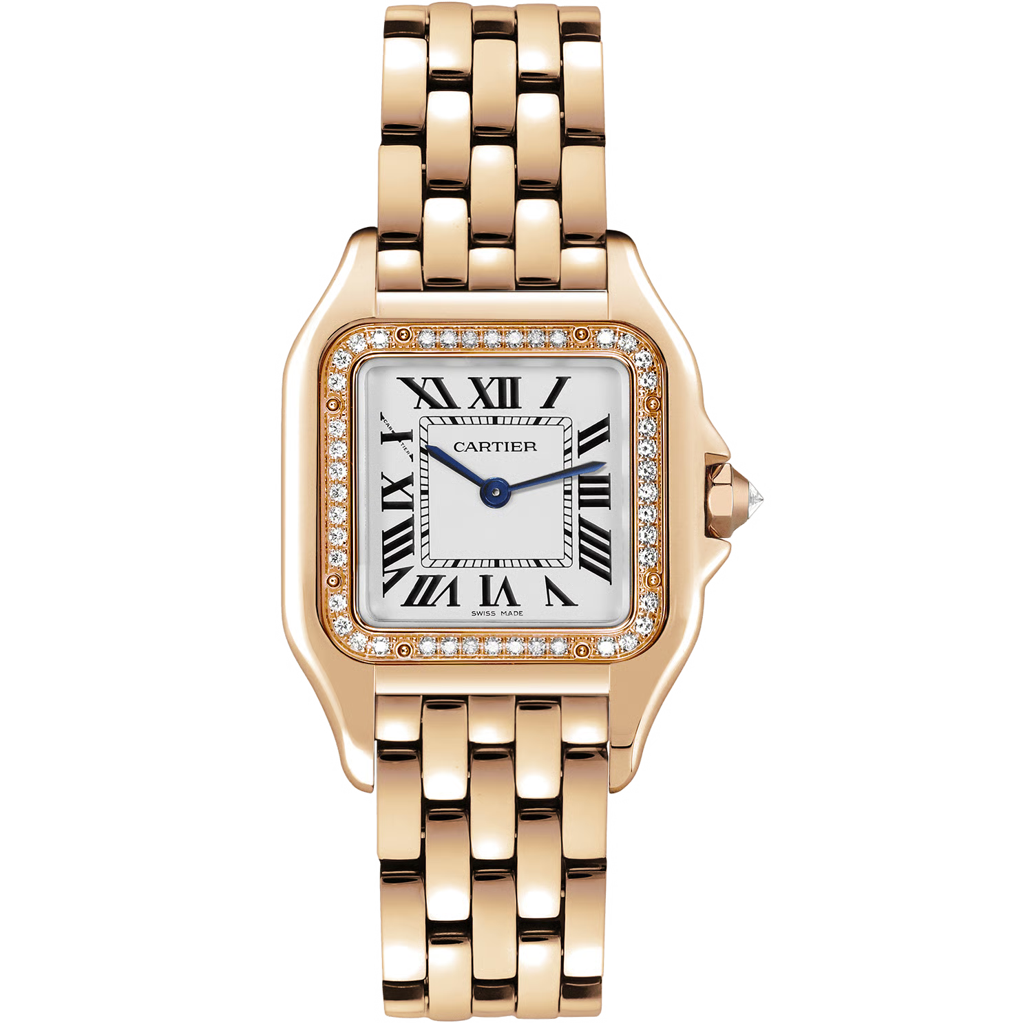 Time Traveler Watches