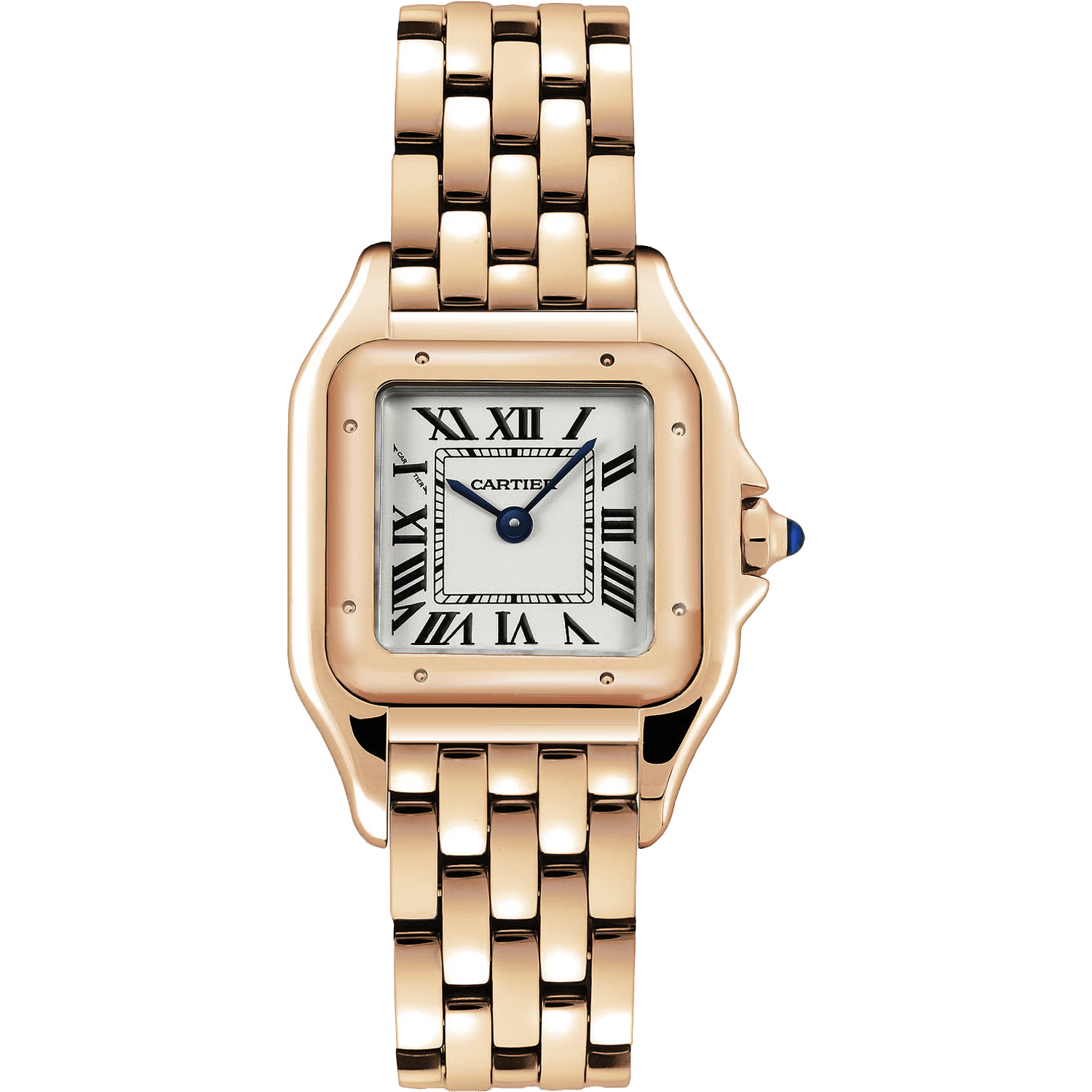 Time Traveler Watches