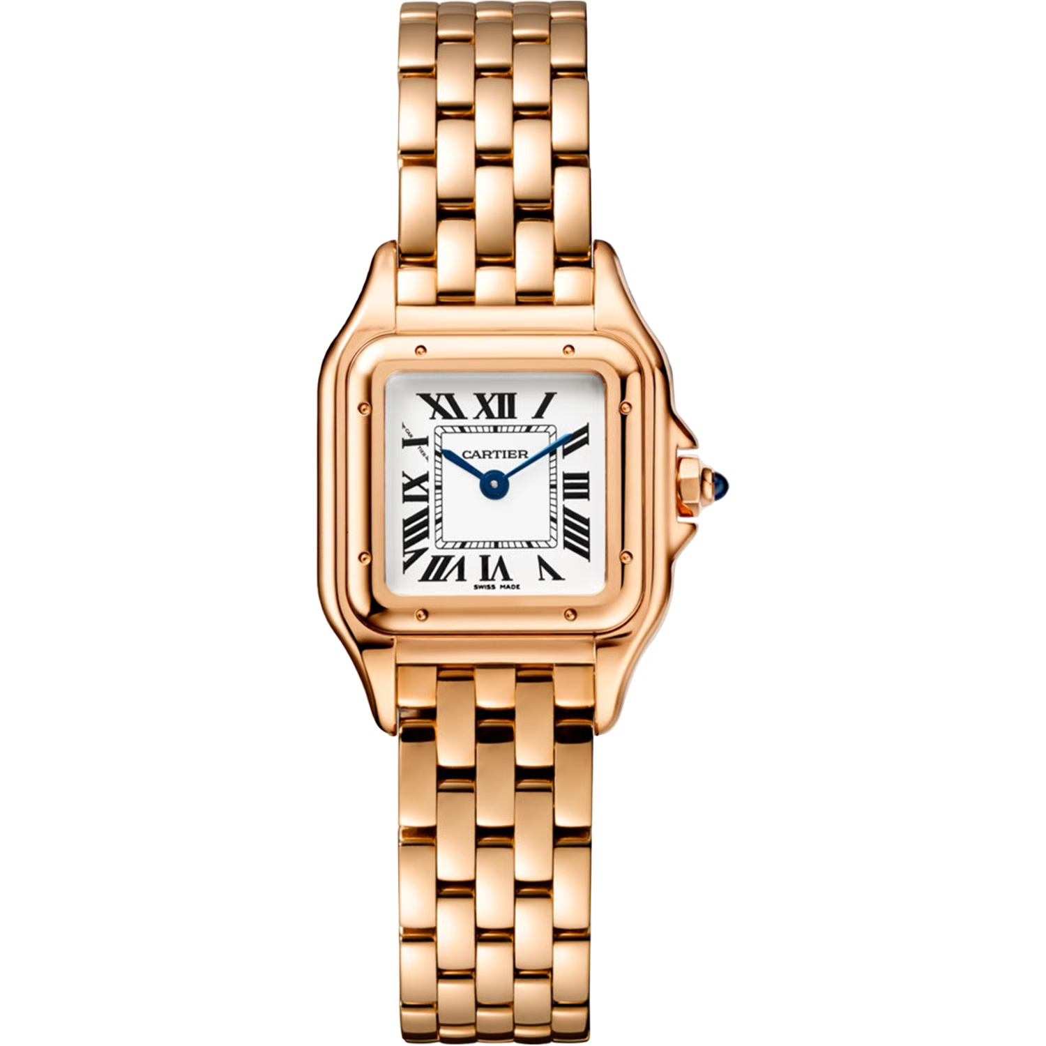 Time Traveler Watches
