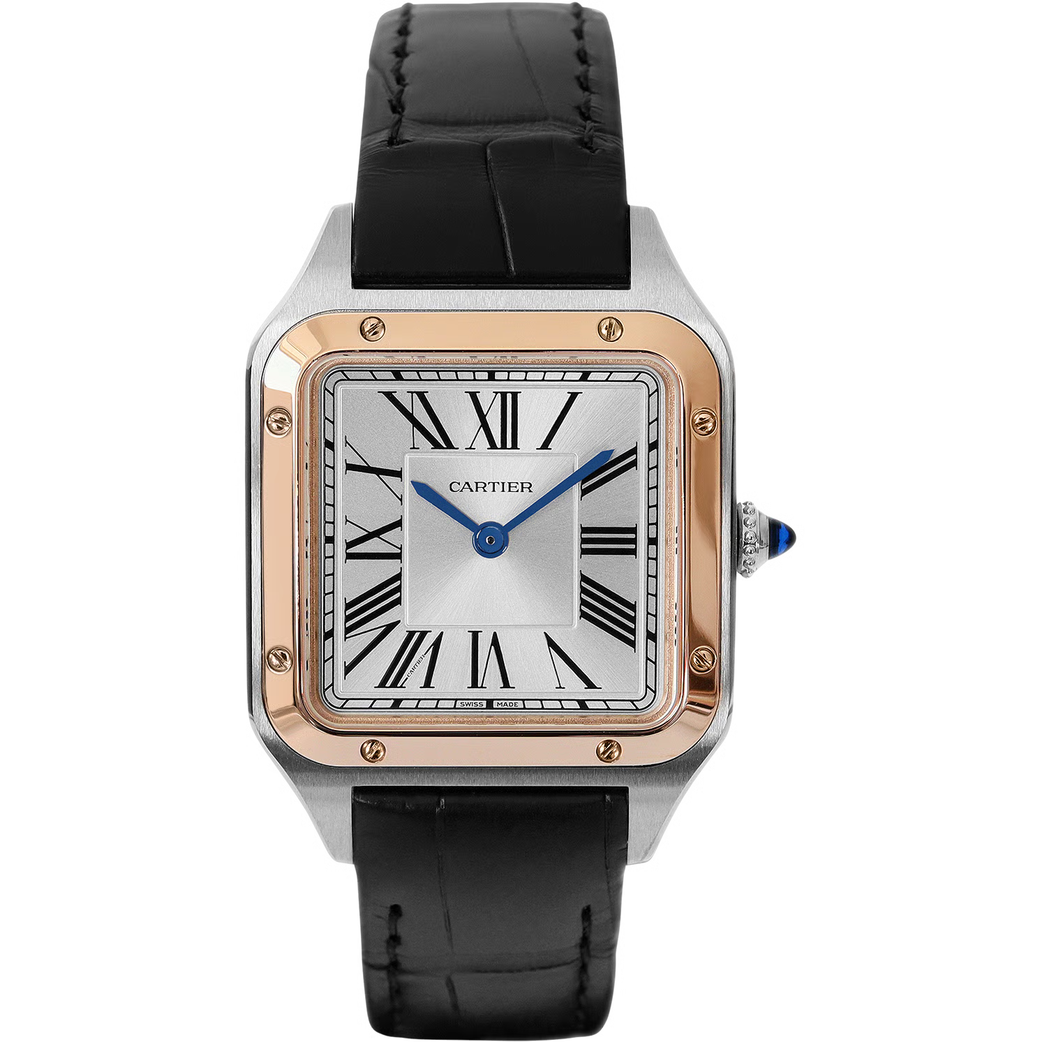 Time Traveler Watches