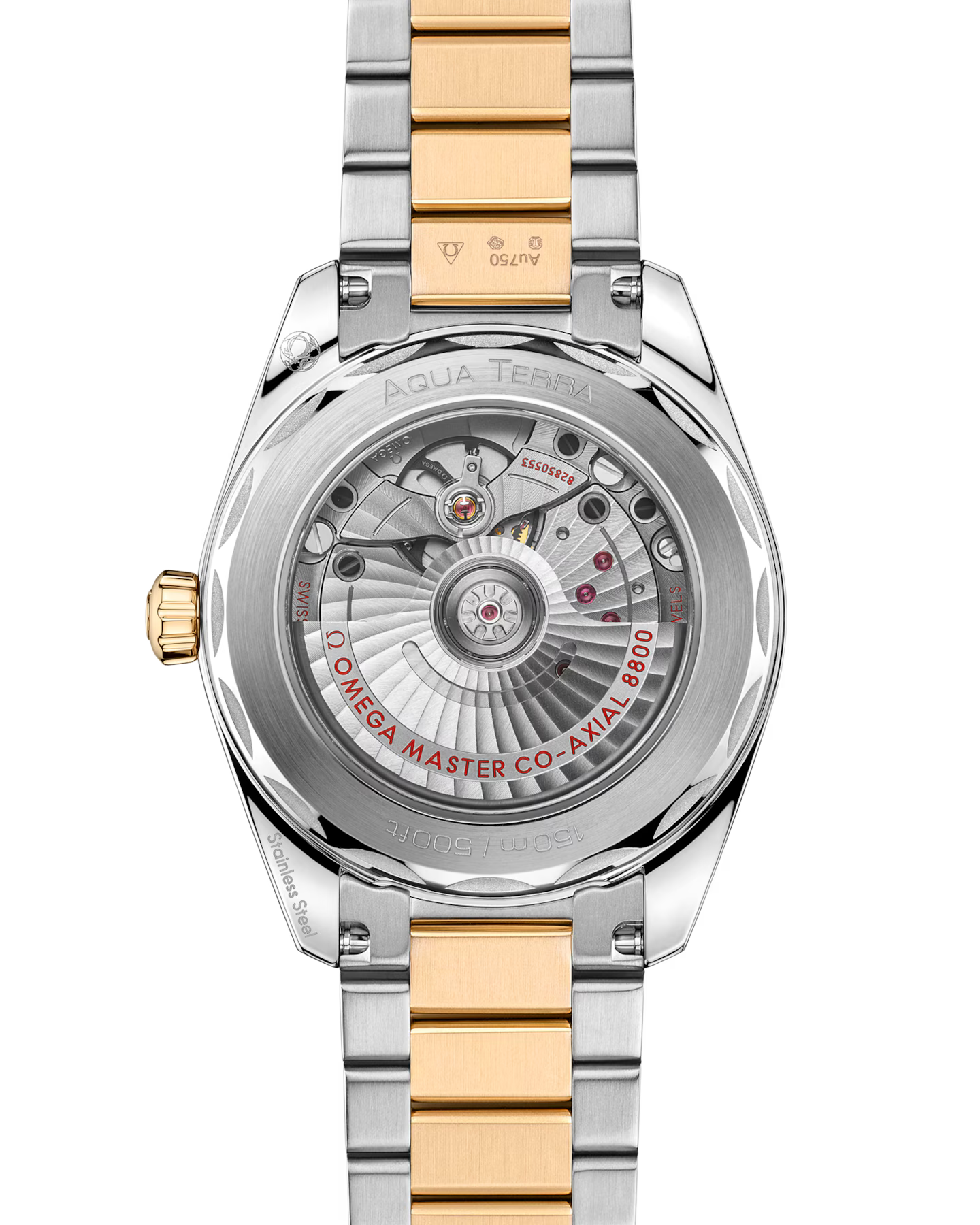 Time Traveler Watches