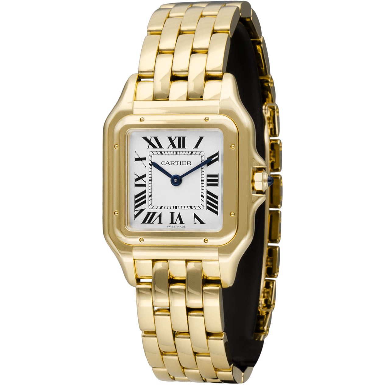 Time Traveler Watches