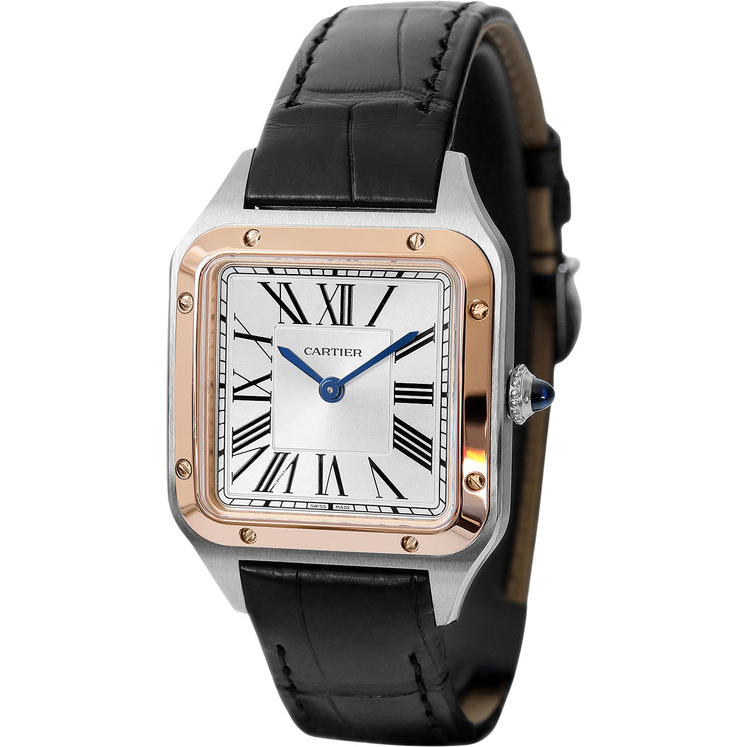 Time Traveler Watches